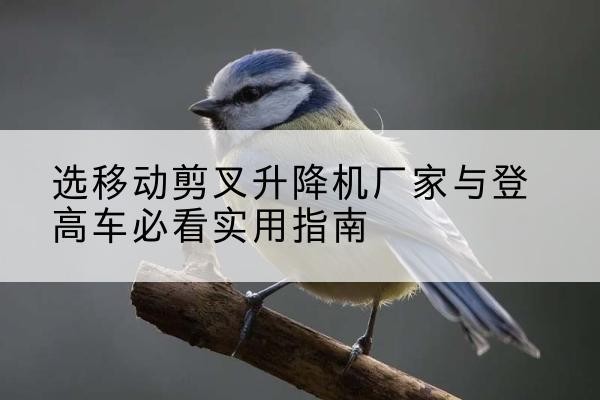 天峻电动升降机厂家-选移动剪叉升降机厂家与登高车必看实用指南