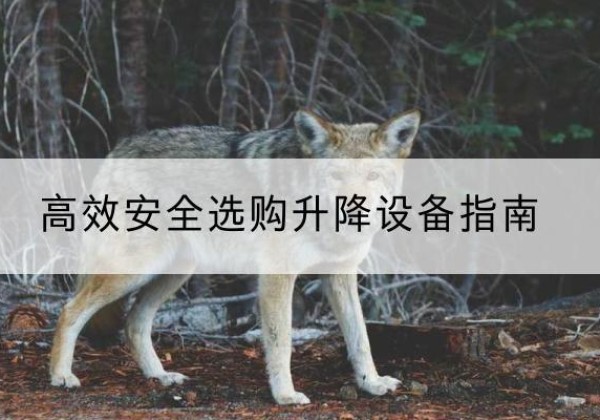 天峻升降货梯厂家推荐-*安全选购升降设备指南