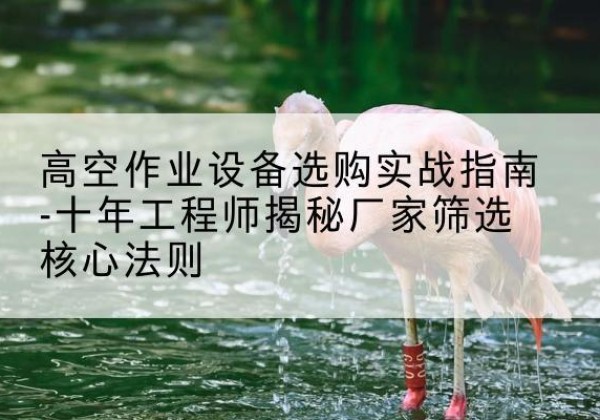天峻剪叉式升降机厂家-高空作业设备选购实战指南-十年工程师揭秘厂家筛选核心法则
